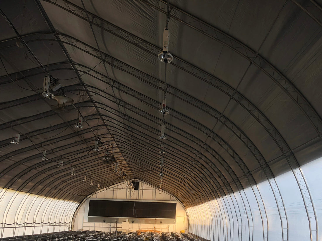 Blackout Poly for Light Dep