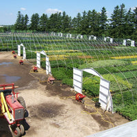 Traditional Greenhouse Frames